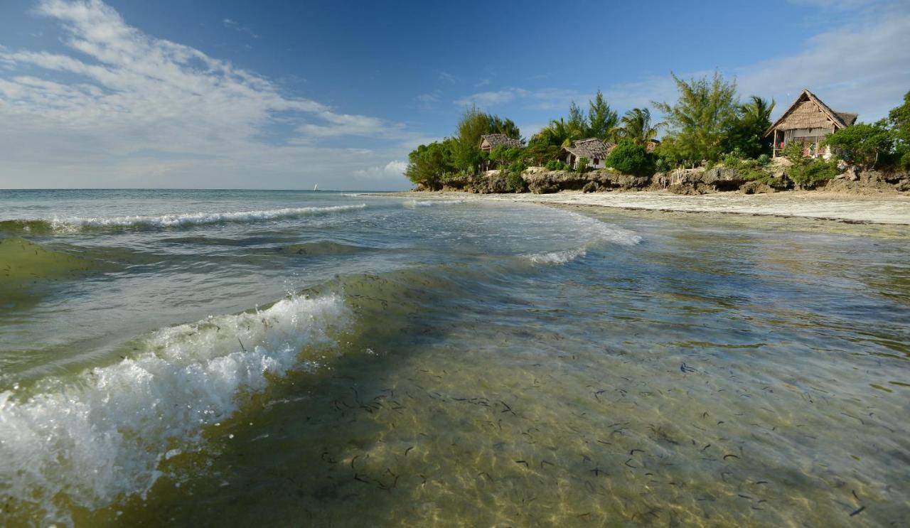 Afya Village At The Sea Michamvi Exterior foto